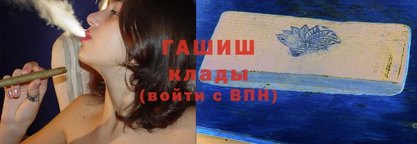 гашик Козловка