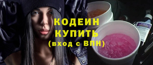 гашик Козловка