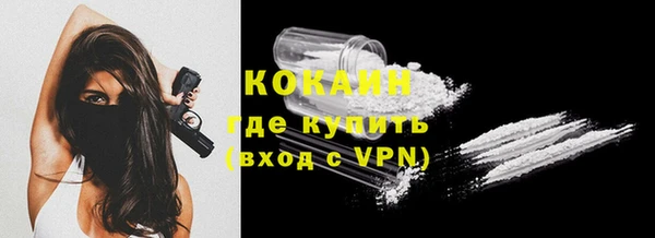 гашик Козловка