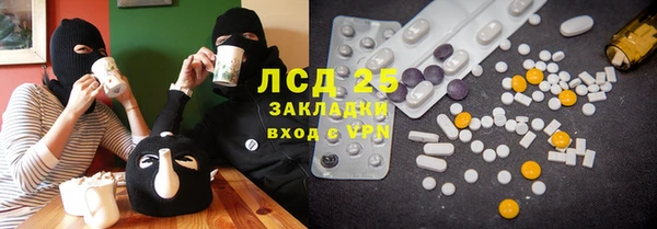 гашик Козловка