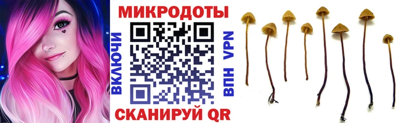 Галлюциногенные грибы мухоморы  Купить  Кочубеевское 